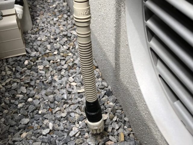 S__19259459-768x1024